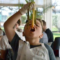 Calçot 2 thumbnail